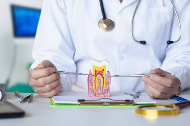 Best Orthodontic Emergency Dentist in Sausalito, CA